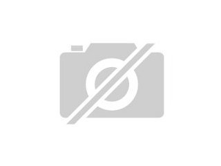 Verschenke zwei Gelbwangenschildkröten
